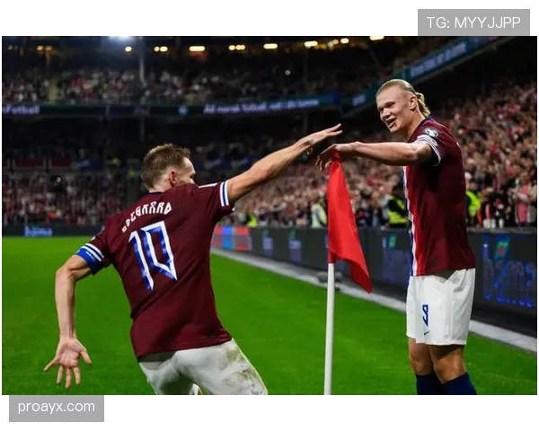 欧洲杯预选赛挪威哈兰德